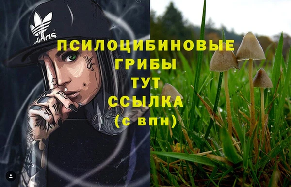 ГАЛЛЮЦИНОГЕННЫЕ ГРИБЫ Осташков