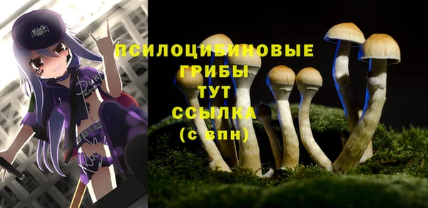 герыч Белокуриха