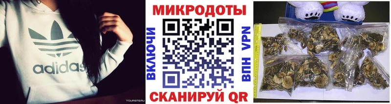 Галлюциногенные грибы Magic Shrooms  Бодайбо 